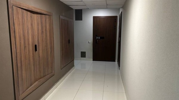 1-к квартира, 24/24 эт., 29м²