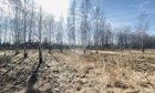 Участок 12 сот.